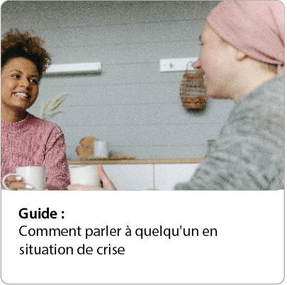 French Guide for Crisis